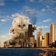 CATZILLA